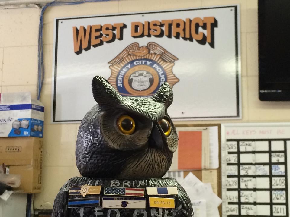 "Hooleo", The Law Enforcement Owl Brothers Before Others